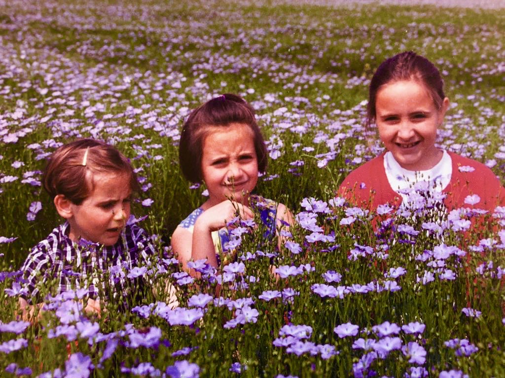 trois filles dans champs de lin